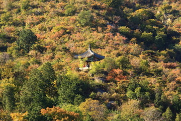 秋季的北京香山公园