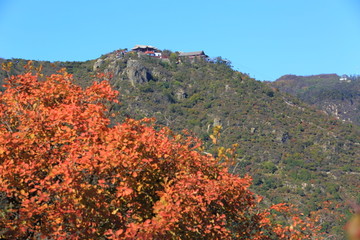 秋季的北京香山香炉峰紫烟亭