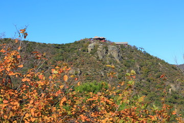 秋季的北京香山香炉峰紫烟亭