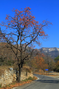 山东淄博淄川自然风光