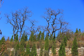 山东淄博淄川潭溪山旅游区