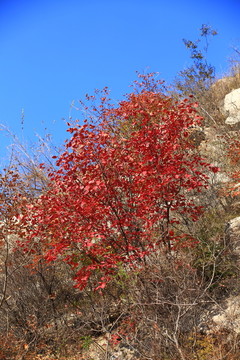 山东淄博淄川潭溪山旅游区