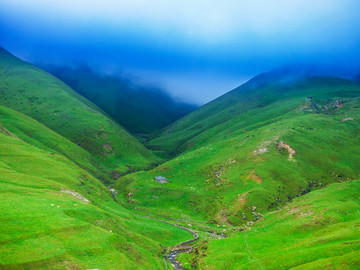 高山草场