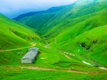 高山草场