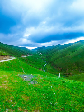 高山草场