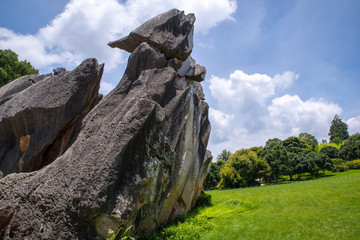 云南石林风景