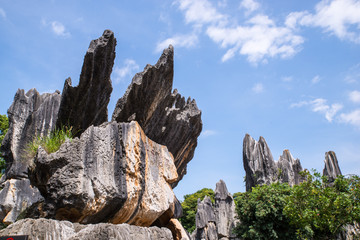 云南石林风景