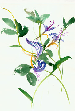 藍色花朵