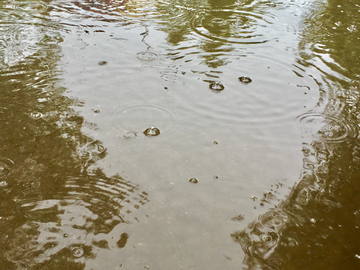 下雨 雨水 