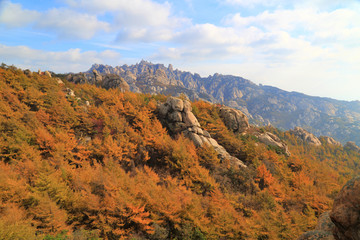 山东青岛崂山崂顶秋色