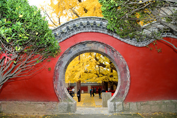 山东日照莒县浮来山风景区