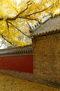 山东日照莒县浮来山风景区