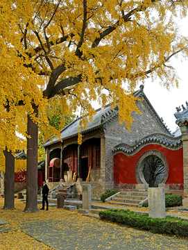 山東日照莒縣浮來山風景區(qū)