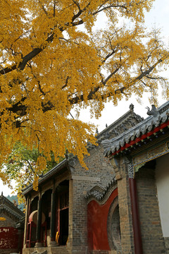 山东日照莒县浮来山风景区