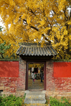 山东日照莒县浮来山风景区