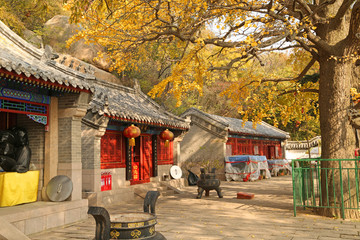 山东青岛崂山华楼景区