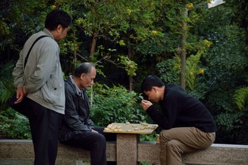 公园下棋