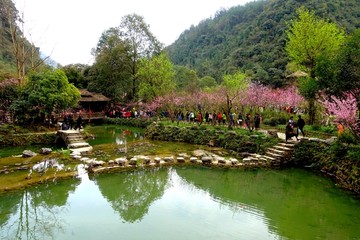 酉阳桃花源