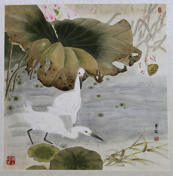 荷花水鳥