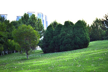 植物园