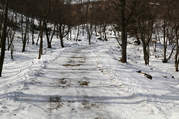 山东青岛寨上崂山雪景