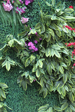 花卉绿植墙