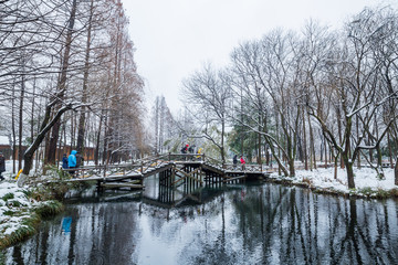 杭州茅家埠雪景