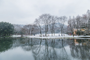 杭州太子湾公园雪景