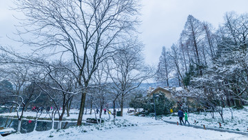 杭州太子湾公园雪景