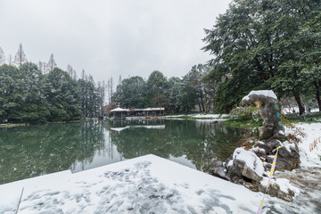 杭州太子湾公园雪景