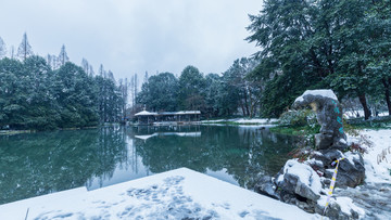 杭州太子湾公园雪景