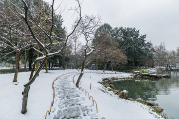 杭州太子湾公园雪景