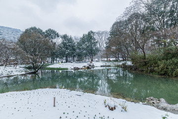 杭州太子湾公园雪景