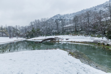 杭州太子湾公园雪景