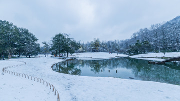 杭州太子湾公园雪景