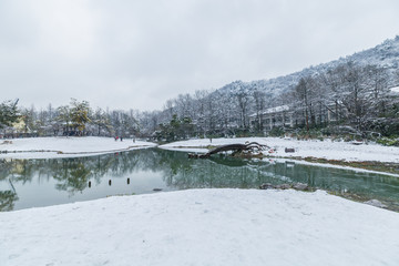 杭州太子湾公园雪景