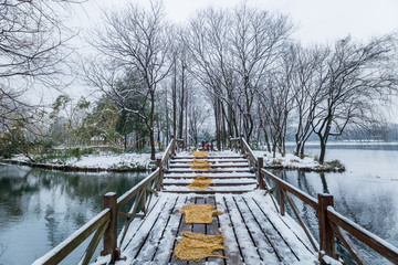 杭州西湖雪景