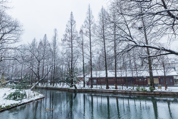 杭州西湖雪景