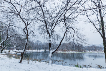 杭州西湖雪景