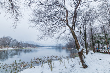 杭州西湖雪景