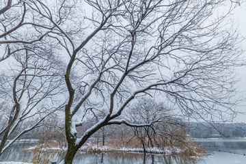 杭州西湖雪景