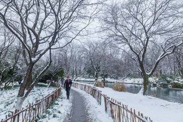 杭州西湖雪景