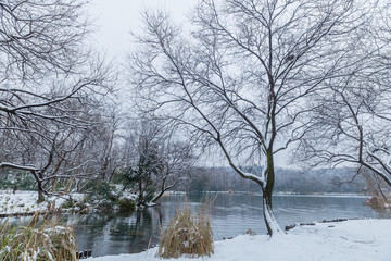 杭州西湖雪景