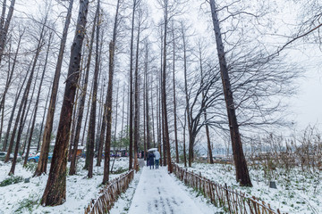 杭州西湖雪景