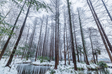 杭州西湖雪景