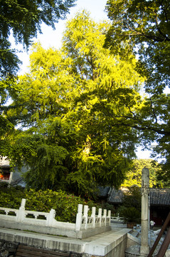 潭柘寺