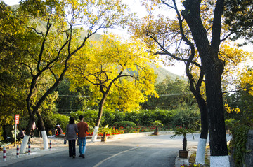 潭柘寺