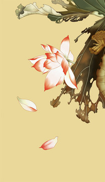 荷花玄關(guān)
