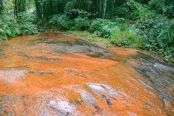 赤水红石野谷山谷小溪河流