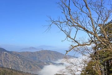 原始森林和远山云海